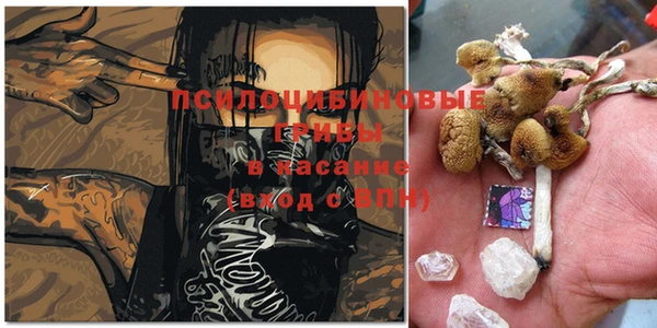 индика Абдулино