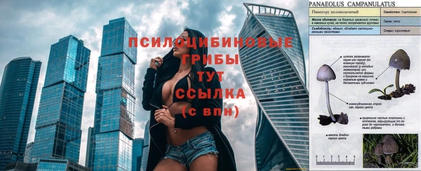 индика Абдулино