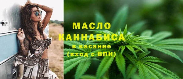 индика Абдулино